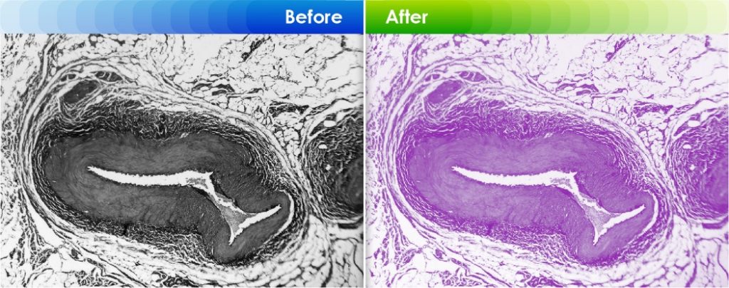 Converting color images to Duotone or Spot colors