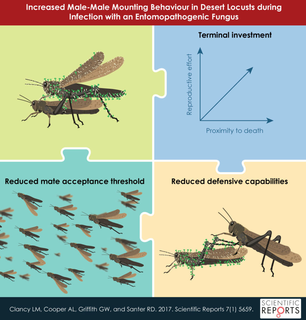 Graphical Abstracts - International Science Editing